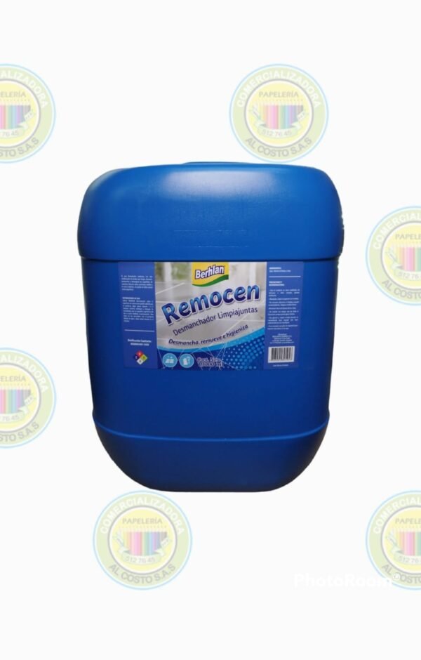 Limpia juntas x 19000ml.